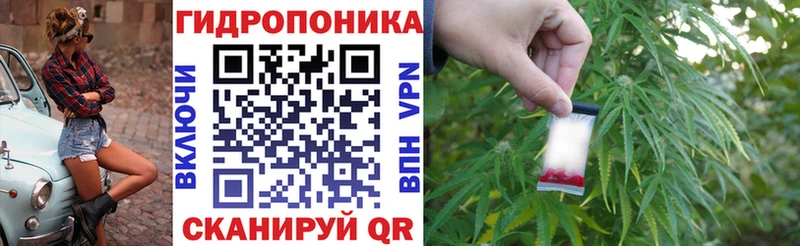 МАРИХУАНА семена  Южа 
